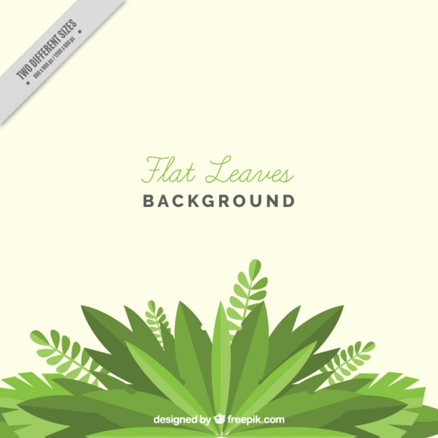 Flat Leaves Background