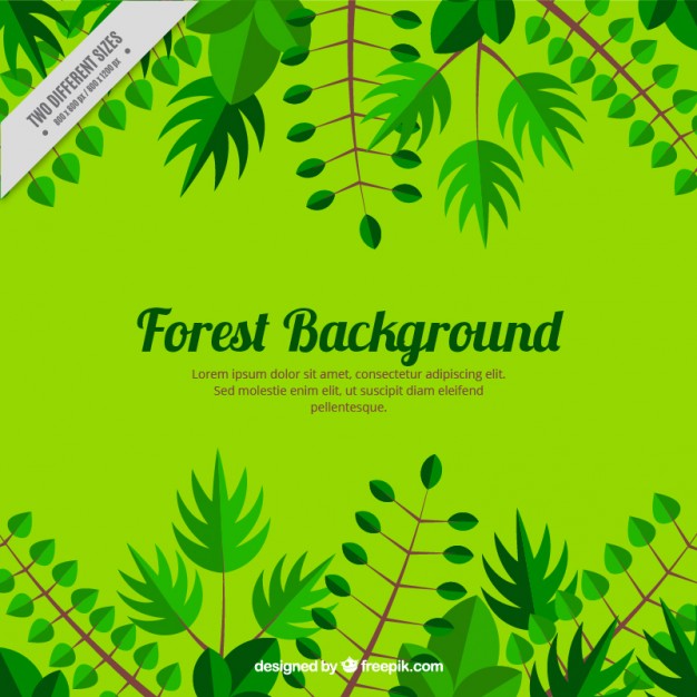 Green Forest Background