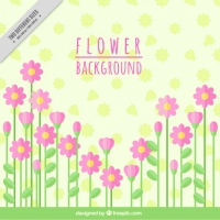 Background With Pink Flowers In Flat Design 