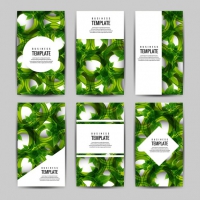 Brochure With Leaves Collection