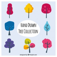Pack Of Hand Drawn Colorful Trees