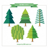 Pack Of Pines And Trees In Flat Design
